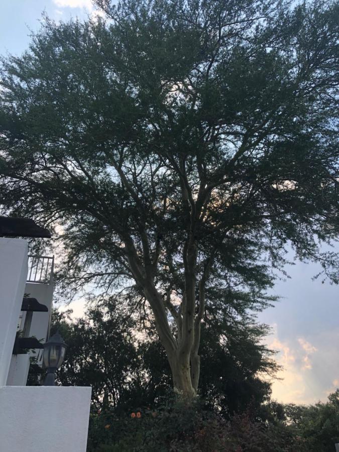 Fever Tree Suites Johannesburg Dış mekan fotoğraf